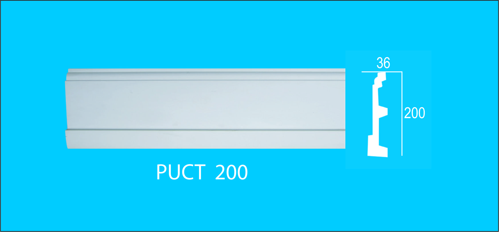 PU- PUCT-200