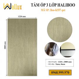 Tấm ốp 3 lớp Haliboo Boo-K557-PET