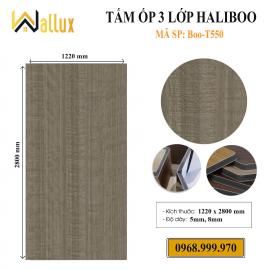 Tấm ốp 3 lớp Haliboo Boo-T550