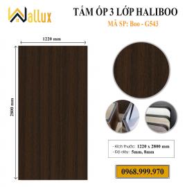 Tấm ốp 3 lớp Haliboo Boo-G543