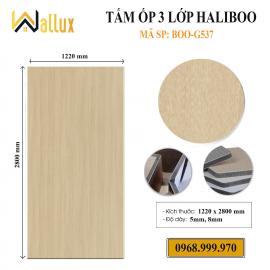 Tấm ốp 3 lớp Haliboo Boo-G537